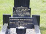 image of grave number 663232